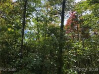 Cold Springs Drive # 119, Maggie Valley, NC 28751, MLS # 3793223 - Photo #2