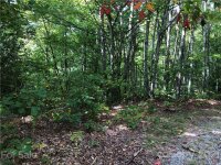Cold Springs Drive # 119, Maggie Valley, NC 28751, MLS # 3793223 - Photo #3
