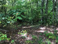 Cold Springs Drive # 119, Maggie Valley, NC 28751, MLS # 3793223 - Photo #4