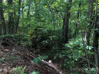 Cold Springs Drive # 119, Maggie Valley, NC 28751, MLS # 3793223 - Photo #5