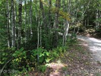 Cold Springs Drive # 119, Maggie Valley, NC 28751, MLS # 3793223 - Photo #8