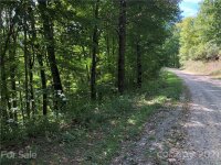 cold springs Drive # 1, Maggie Valley, NC 28751, MLS # 3793249 - Photo #1