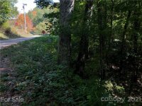 cold springs Drive # 1, Maggie Valley, NC 28751, MLS # 3793249 - Photo #3