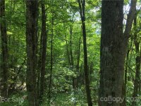 cold springs Drive # 1, Maggie Valley, NC 28751, MLS # 3793249 - Photo #9