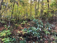 spruce flats Road # 16, Maggie Valley, NC 28751, MLS # 3799242 - Photo #3