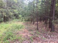 Overland Drive Unit 101, Connelly Springs, NC 28612, MLS # 3845260 - Photo #2