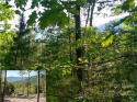 Davids Drive, Lake Lure, NC 28746, MLS # 3866657 - Photo #1