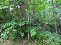 492 Freemont Drive # 77, Leicester, NC 28748, MLS # 3874683 - Photo #16