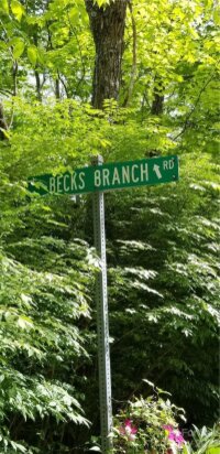 Becks Branch Road, Clyde, NC 28781, MLS # 3895932 - Photo #13