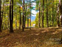 Finlaystone Trace # 24, Waynesville, NC 28786, MLS # 3912930 - Photo #2