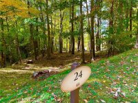 Finlaystone Trace # 24, Waynesville, NC 28786, MLS # 3912930 - Photo #3