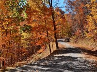 Utah Mountain Road, Waynesville, NC 28785, MLS # 3913790 - Photo #2