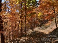 Utah Mountain Road, Waynesville, NC 28785, MLS # 3913790 - Photo #7