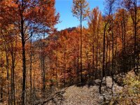 Utah Mountain Road, Waynesville, NC 28785, MLS # 3913790 - Photo #8