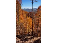 Utah Mountain Road, Waynesville, NC 28785, MLS # 3913790 - Photo #10