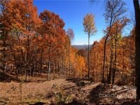 Utah Mountain Road, Waynesville, NC 28785, MLS # 3913790 - Photo #13