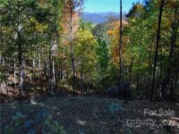 Utah Mountain Road, Waynesville, NC 28785, MLS # 3913790 - Photo #18