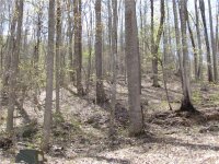 Red Wolf Run None, Mars Hill, NC 28754, MLS # 3918442 - Photo #10