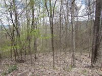 Red Wolf Run None, Mars Hill, NC 28754, MLS # 3918442 - Photo #12