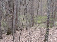 Red Wolf Run None, Mars Hill, NC 28754, MLS # 3918442 - Photo #15