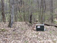 Red Wolf Run None, Mars Hill, NC 28754, MLS # 3918442 - Photo #16