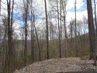 Red Wolf Run None, Mars Hill, NC 28754, MLS # 3918442 - Photo #17