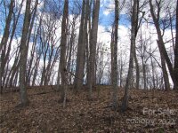 Red Wolf Run None, Mars Hill, NC 28754, MLS # 3918452 - Photo #18