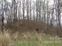 Red Wolf Run None, Mars Hill, NC 28754, MLS # 3918452 - Photo #20