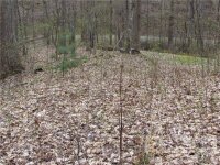 Red Wolf Run None, Mars Hill, NC 28754, MLS # 3918452 - Photo #22