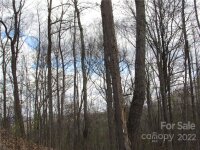 Red Wolf Run None, Mars Hill, NC 28754, MLS # 3918452 - Photo #24