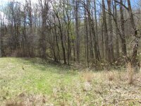 Red Wolf Run None, Mars Hill, NC 28754, MLS # 3918466 - Photo #27