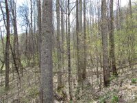 Red Wolf Run None, Mars Hill, NC 28754, MLS # 3918466 - Photo #28