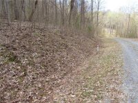 Red Wolf Run None, Mars Hill, NC 28754, MLS # 3918466 - Photo #29