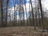 Red Wolf Run None, Mars Hill, NC 28754, MLS # 3918466 - Photo #30