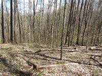 Red Wolf Run None, Mars Hill, NC 28754, MLS # 3918466 - Photo #31