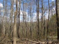 Red Wolf Run None, Mars Hill, NC 28754, MLS # 3918466 - Photo #32