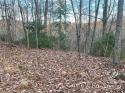 RoadRunner Circle # 102, , Lake Lure, NC 28746, MLS # 3928105 - Photo #1