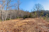 99999 Sourwood Road, Canton, NC 28716, MLS # 3932963 - Photo #9