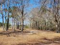 2208 John Munn Road, Bethune, SC 29009, MLS # 3939985 - Photo #7