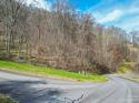 Freemont Drive # 80, Leicester, NC 28748, MLS # 4007290 - Photo #38