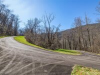 475 Kendall Drive # 11, Leicester, NC 28748, MLS # 4013553 - Photo #2