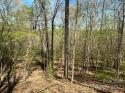 5510 US Hwy 64/74A None, Lake Lure, NC 28746, MLS # 4018522 - Photo #18