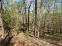 5510 US Hwy 64/74A None, Lake Lure, NC 28746, MLS # 4018522 - Photo #23