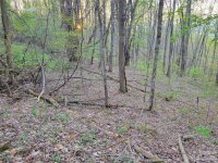Old Country Road # 37, Waynesville, NC 28786, MLS # 4021076 - Photo #1