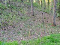 Old Country Road # 37, Waynesville, NC 28786, MLS # 4021076 - Photo #3
