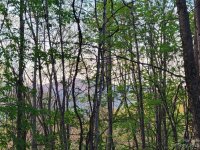 Old Country Road # 37, Waynesville, NC 28786, MLS # 4021076 - Photo #8