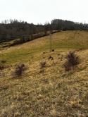 Poplar Grove Road, Boone, NC 28607, MLS # 4024868 - Photo #36