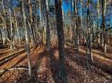 129 Hunt Camp Trail Unit 15, Davidson, NC 28036, MLS # 4029331 - Photo #2