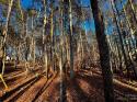 129 Hunt Camp Trail Unit 15, Davidson, NC 28036, MLS # 4029331 - Photo #3