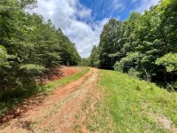 Mason Road, Ellenboro, NC 28040, MLS # 4035386 - Photo #25